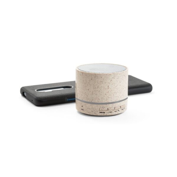 Caixa de Som Portátil com Microfone - Image 3